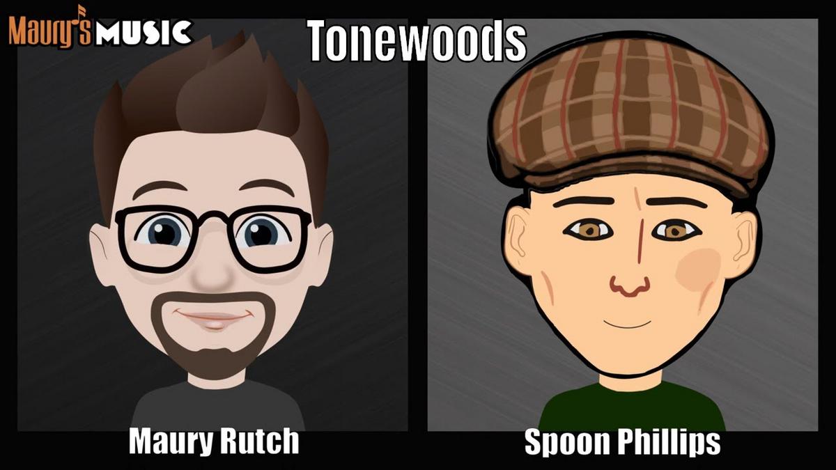Guitar Tonewoods Part I